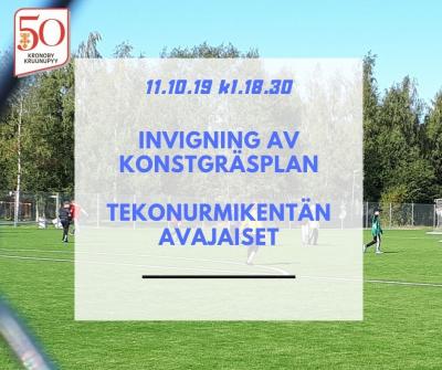 tekonurmikenttaFB1