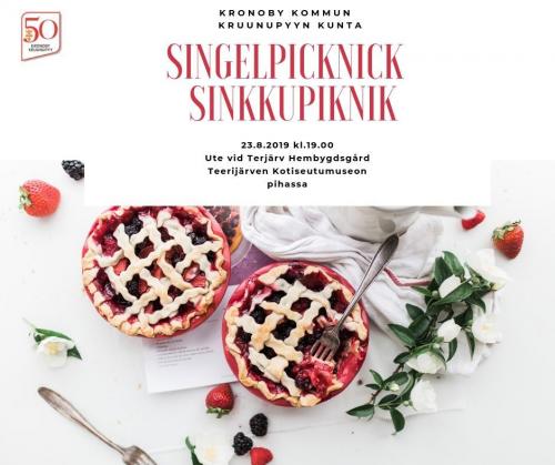 sinkkupiknikFB1